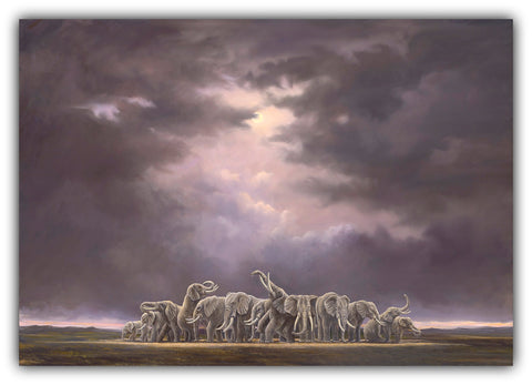 The Blessing by Robert Bissell features a herd of elephants gathering for a blessing.