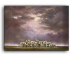 The Blessing by Robert Bissell features a herd of elephants gathering for a blessing.