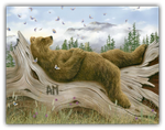 AM 2 oil painting by Robert Bissell features a bear taking a nap on a log.