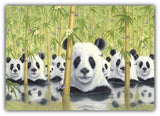 Bear Cats by Robert Bissell - panda bears in the bamboo