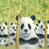 Bear Cats by Robert Bissell - panda bears in the bamboo