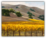 Golden Sonoma Vines by Susan Hoehn