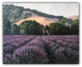 Lavender at Dusk Limited Edition Artwork by Susan Hoehn