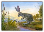 The Resolve by Robert Bissell features a bunny rabbit in discussion with a pair of frogs.