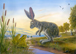 The Resolve by Robert Bissell features a bunny rabbit in discussion with a pair of frogs.